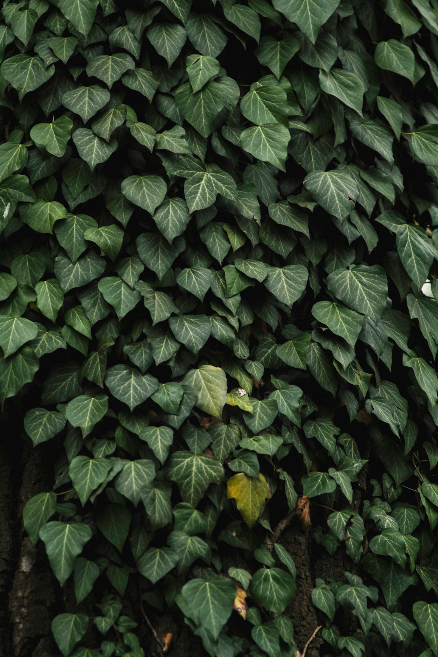 10 Steps to Embrace Sustainable Living Practices
