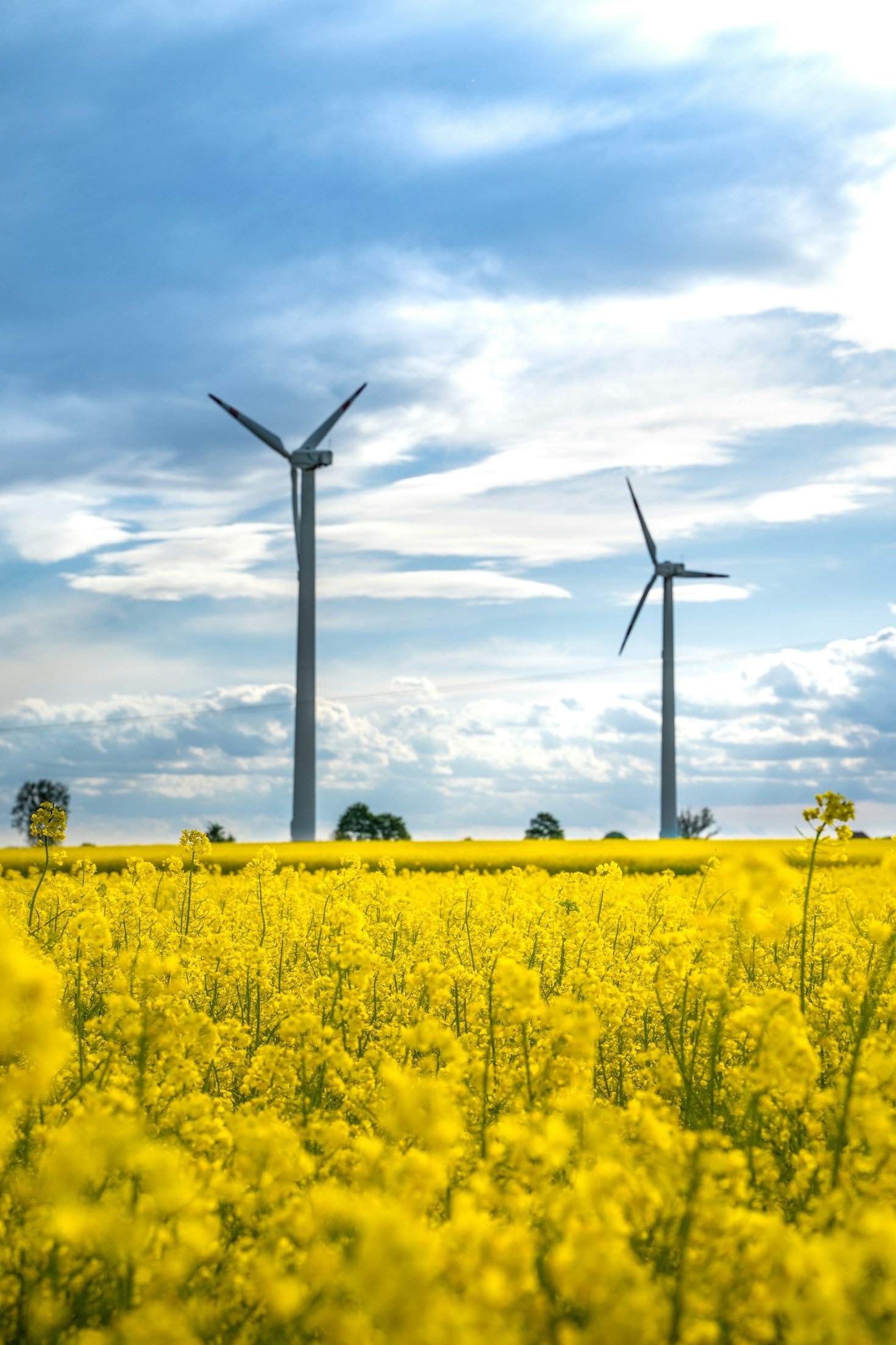 The Benefits of Joining an Eco-Friendly Community